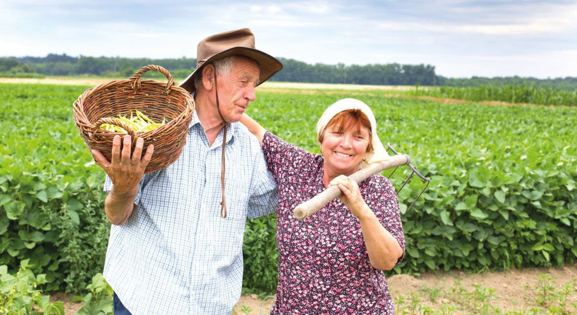 Aposentadoria Rural: Direitos e Desafios